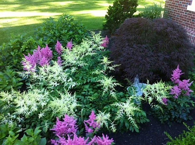 Brookline Pergola & Plantings by Nawada Landscape Design, Inc. - Photo 6