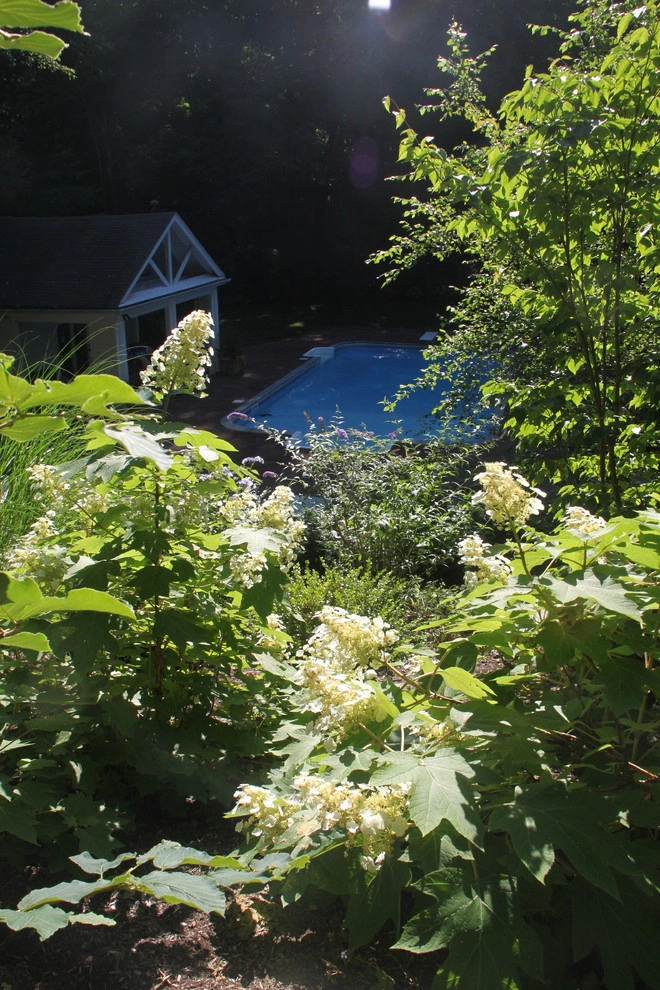 Newtonville Residence by Nawada Landscape Design, Inc. - Photo 4