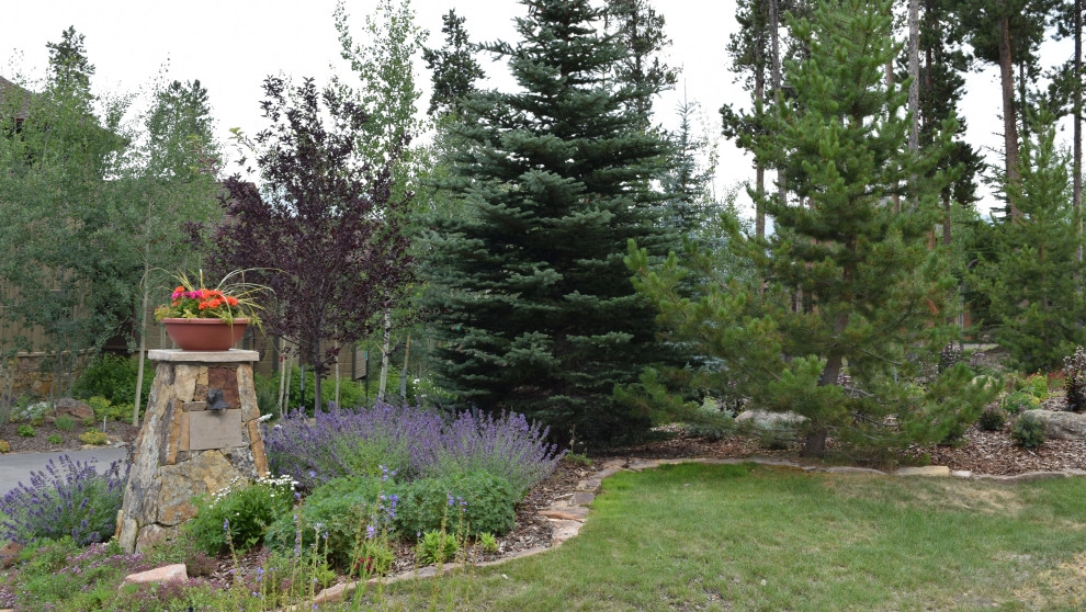 Design - Build Landscape Local Summit Residence by Neils Lunceford, Inc. - Photo 7
