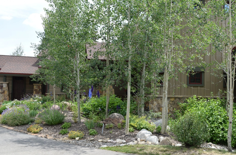Design - Build Landscape Local Summit Residence by Neils Lunceford, Inc. - Photo 3