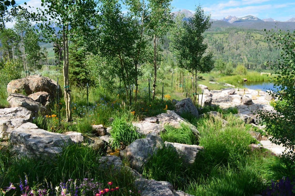 Design - Build Mountain Home Landscape in Summit County, CO by Neils Lunceford, Inc. - Photo 41