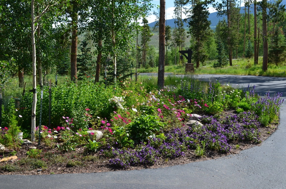 Design - Build Mountain Home Landscape in Summit County, CO by Neils Lunceford, Inc. - Photo 10