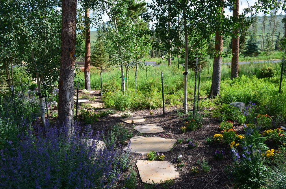 Design - Build Mountain Home Landscape in Summit County, CO by Neils Lunceford, Inc. - Photo 14
