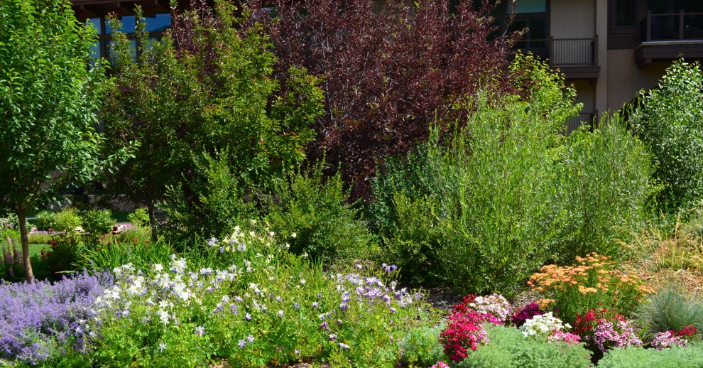 Deisgn - Build Landscape for Manor Vail Lodge in Vail, CO by Neils Lunceford, Inc. - Photo 15