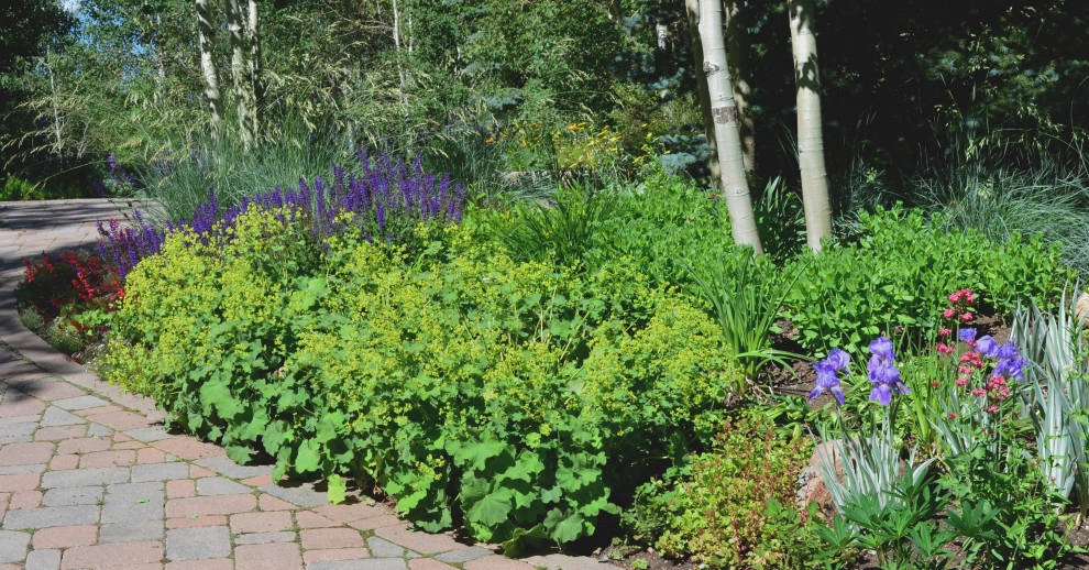 Design - Build Mountain Home Landscape in Vail, CO by Neils Lunceford, Inc. - Photo 3