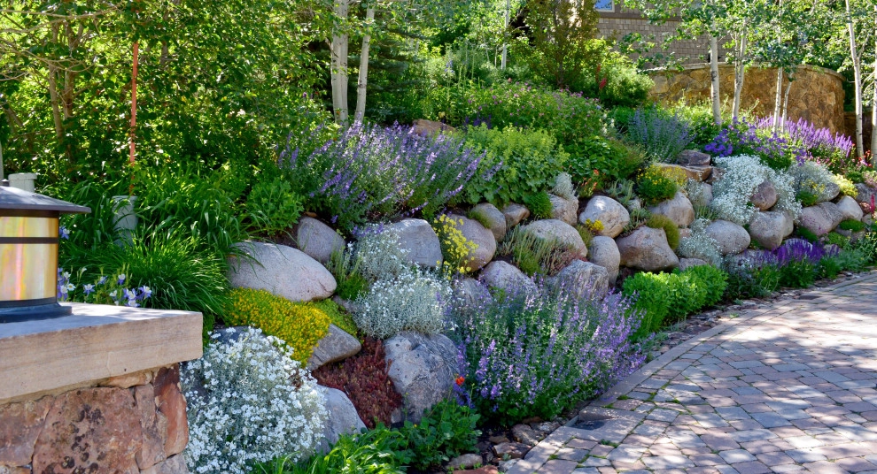 Design - Build Mountain Home Landscape in Vail, CO by Neils Lunceford, Inc. - Photo 2