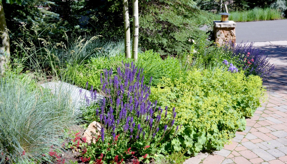Design - Build Mountain Home Landscape in Vail, CO by Neils Lunceford, Inc. - Photo 4