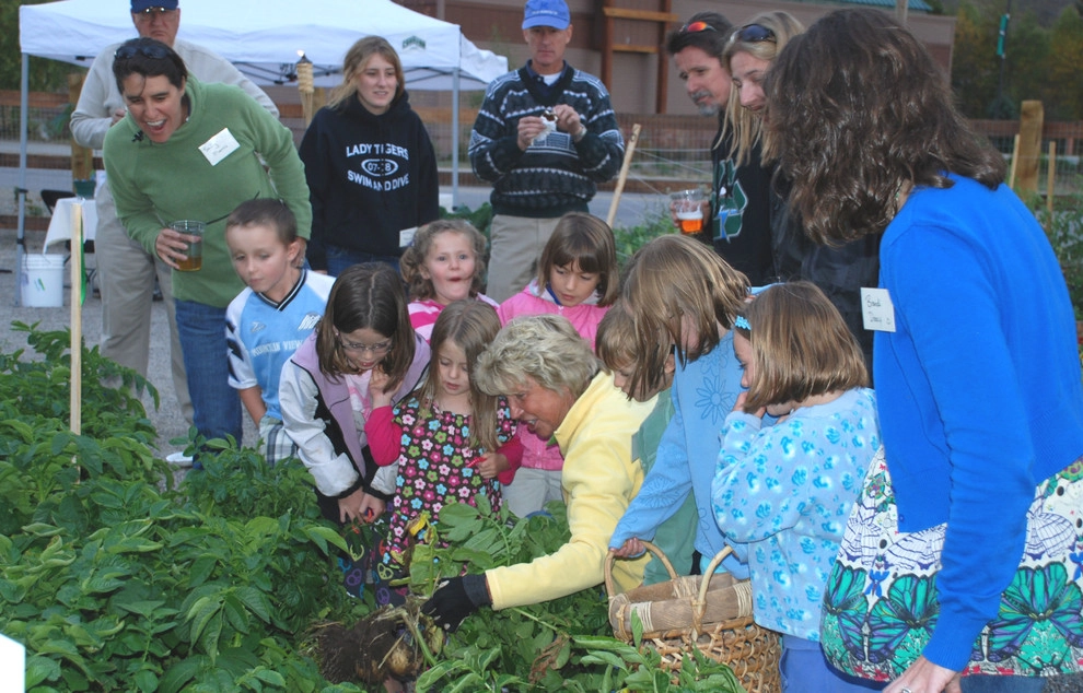 Silvana's Community Garden in Silverthorne, CO by Neils Lunceford, Inc. - Photo 10