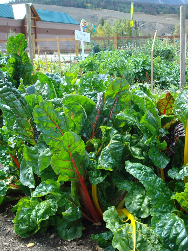 Silvana's Community Garden in Silverthorne, CO by Neils Lunceford, Inc. - Photo 14