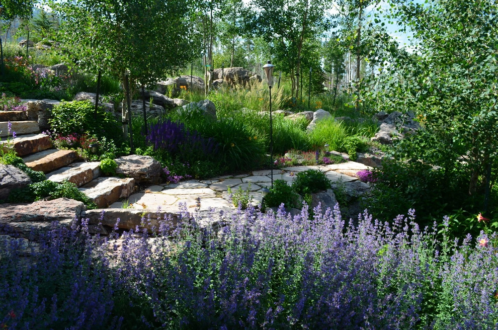 Design - Build Mountain Home Landscape in Summit County, CO by Neils Lunceford, Inc. - Photo 35
