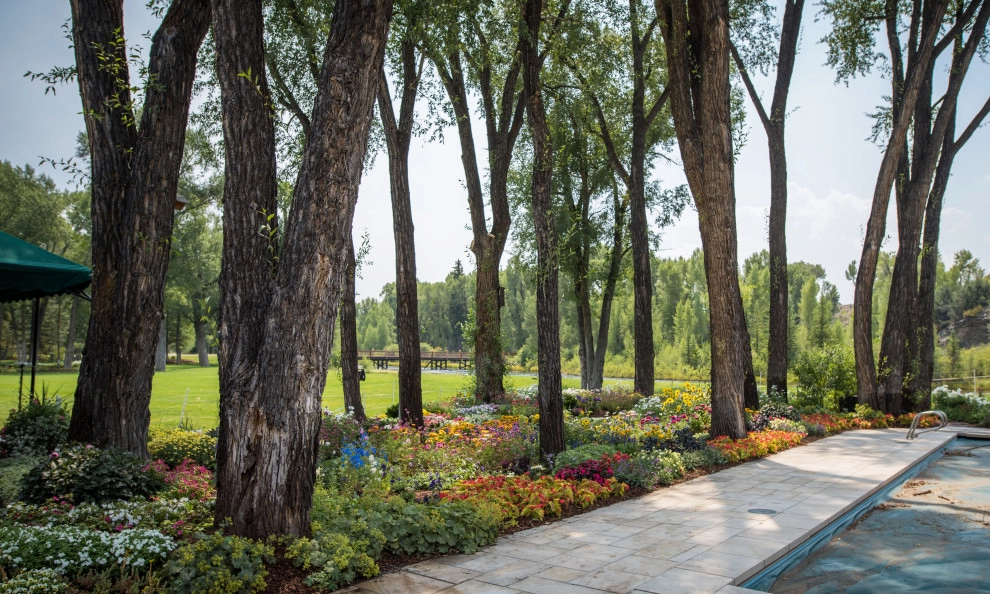 Design - Build Landscape Grand County Ranch Landscaping by Neils Lunceford, Inc. - Photo 3