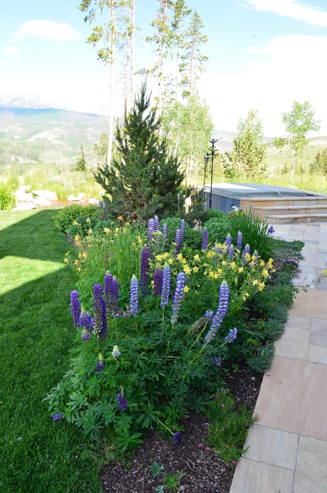 Design - Build Mountain Home Landscape in Summit County, CO by Neils Lunceford, Inc. - Photo 45