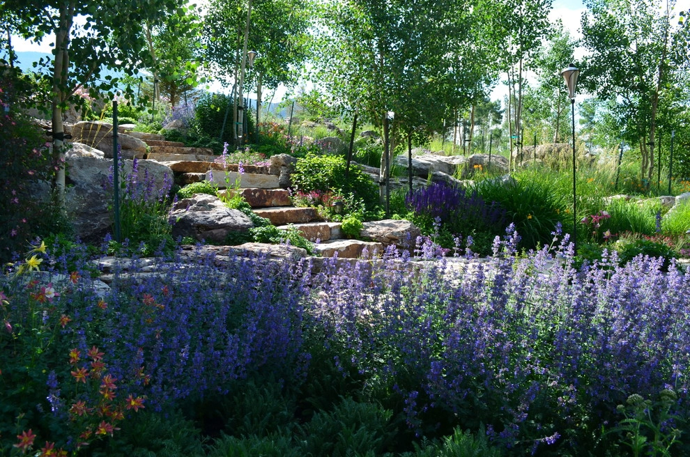 Design - Build Mountain Home Landscape in Summit County, CO by Neils Lunceford, Inc. - Photo 39