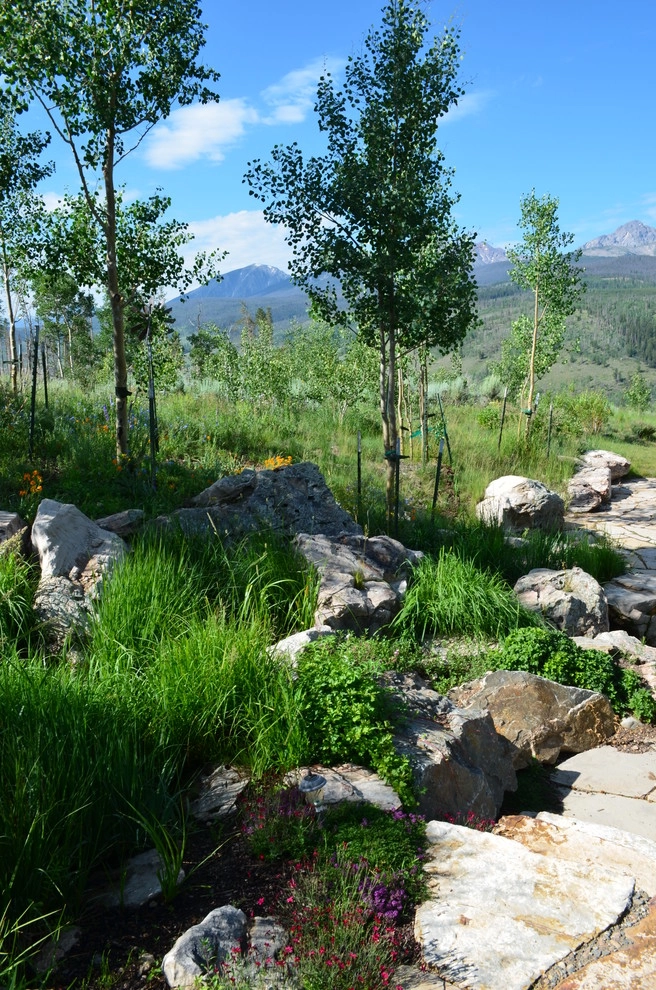 Design - Build Mountain Home Landscape in Summit County, CO by Neils Lunceford, Inc. - Photo 23