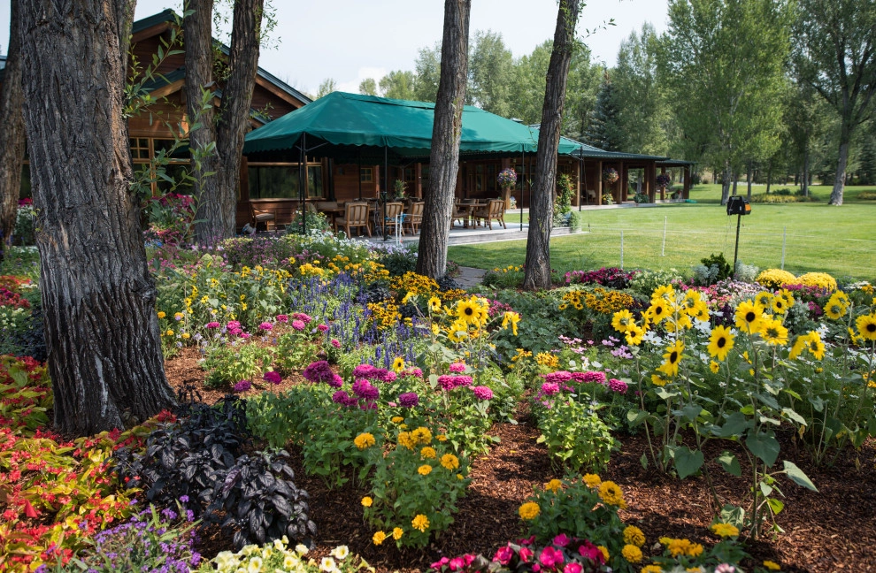 Design - Build Landscape Grand County Ranch Landscaping by Neils Lunceford, Inc. - Photo 7