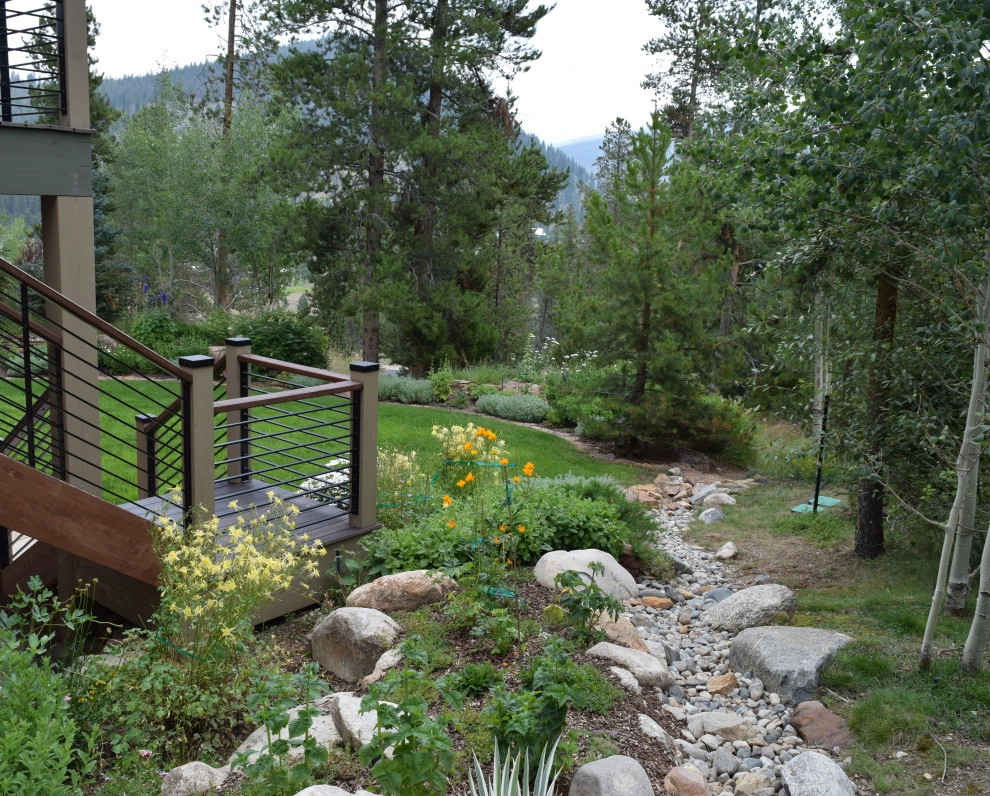 Design - Build Landscape Local Summit Residence by Neils Lunceford, Inc. - Photo 8