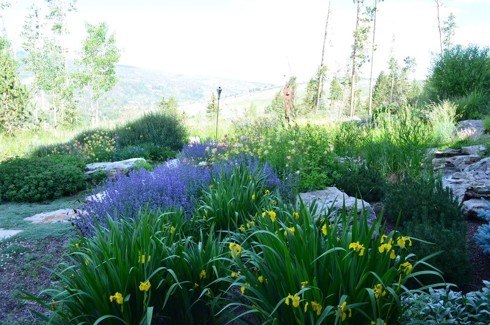 Design - Build Mountain Home Landscape in Summit County, CO by Neils Lunceford, Inc. - Photo 34