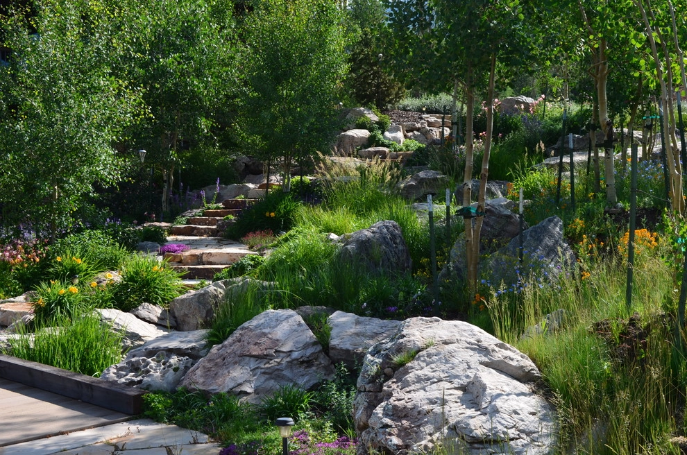 Design - Build Mountain Home Landscape in Summit County, CO by Neils Lunceford, Inc. - Photo 27