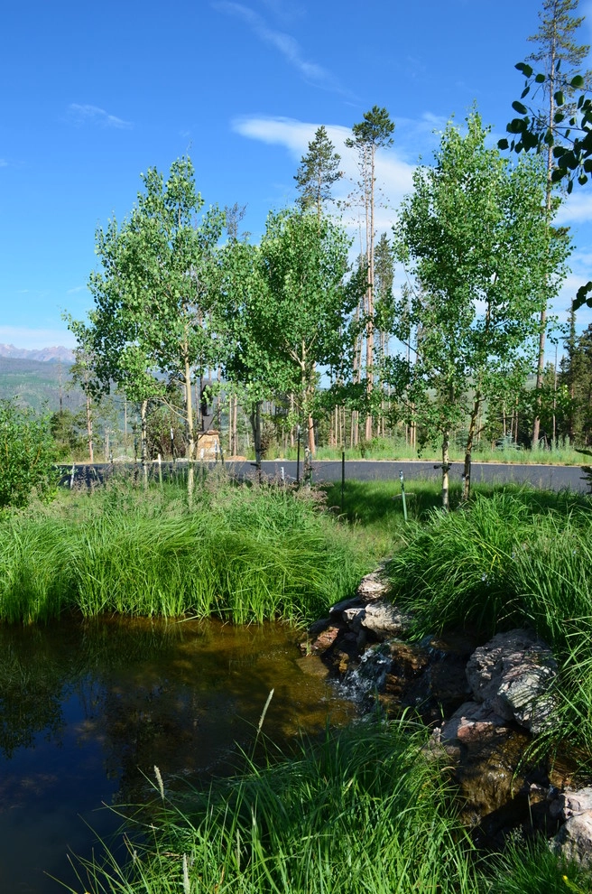 Design - Build Mountain Home Landscape in Summit County, CO by Neils Lunceford, Inc. - Photo 17