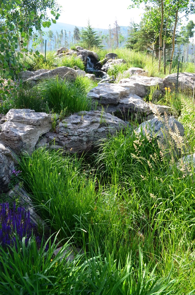 Design - Build Mountain Home Landscape in Summit County, CO by Neils Lunceford, Inc. - Photo 33