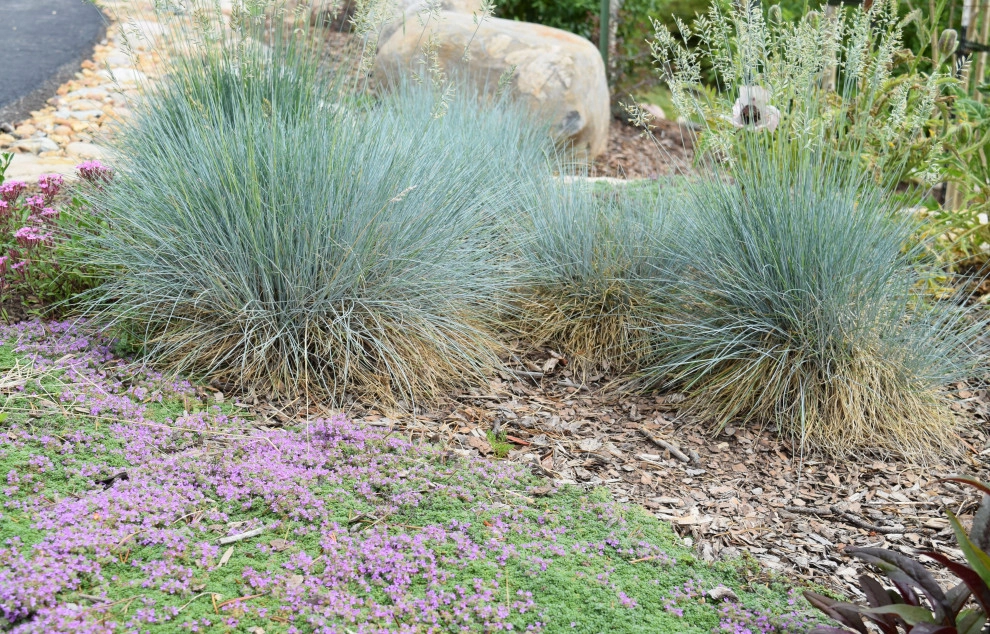 Design - Build Landscape Private Residence Summit County by Neils Lunceford, Inc. - Photo 9
