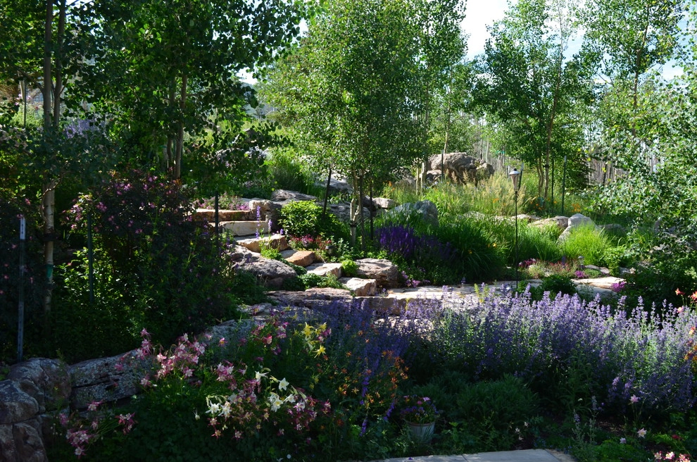 Design - Build Mountain Home Landscape in Summit County, CO by Neils Lunceford, Inc. - Photo 4