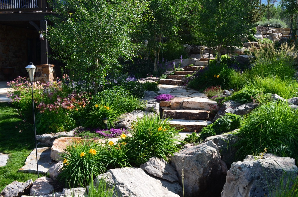 Design - Build Mountain Home Landscape in Summit County, CO by Neils Lunceford, Inc. - Photo 18