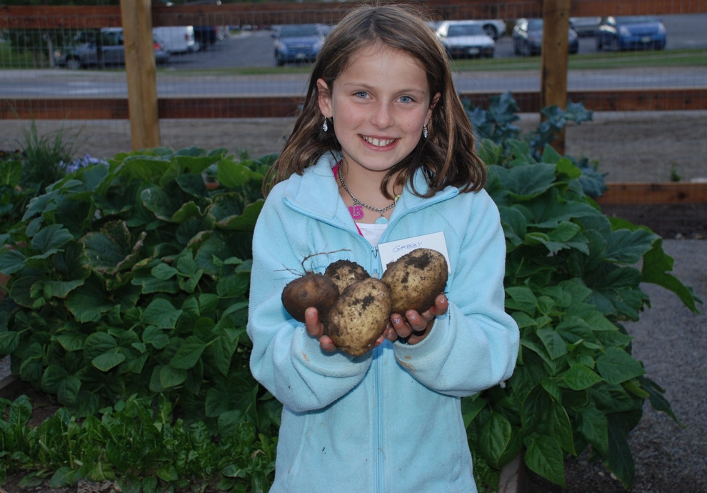 Silvana's Community Garden in Silverthorne, CO by Neils Lunceford, Inc. - Photo 7