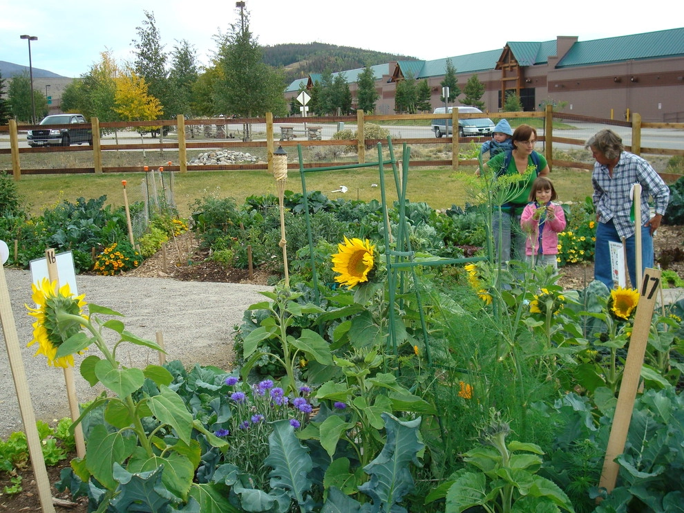 Silvana's Community Garden in Silverthorne, CO by Neils Lunceford, Inc. - Photo 15
