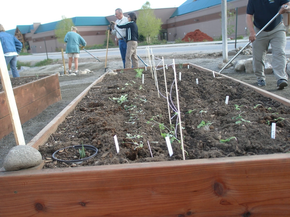 Silvana's Community Garden in Silverthorne, CO by Neils Lunceford, Inc. - Photo 22