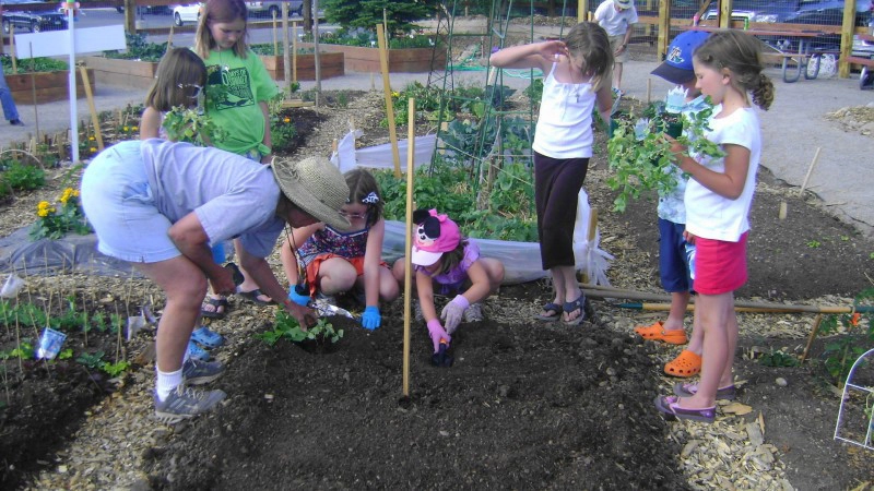 Silvana's Community Garden in Silverthorne, CO by Neils Lunceford, Inc. - Photo 26