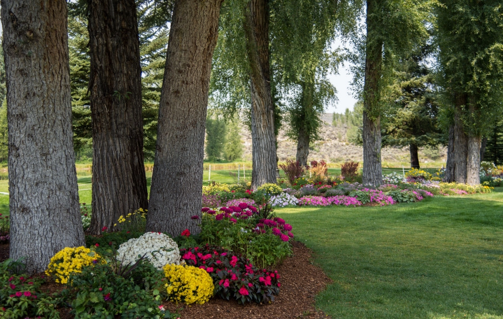 Design - Build Landscape Grand County Ranch Landscaping by Neils Lunceford, Inc. - Photo 12