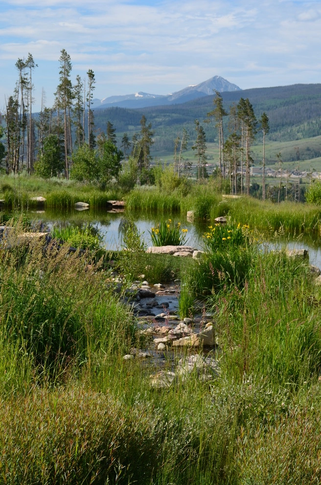 Design - Build Mountain Home Landscape in Summit County, CO by Neils Lunceford, Inc. - Photo 19