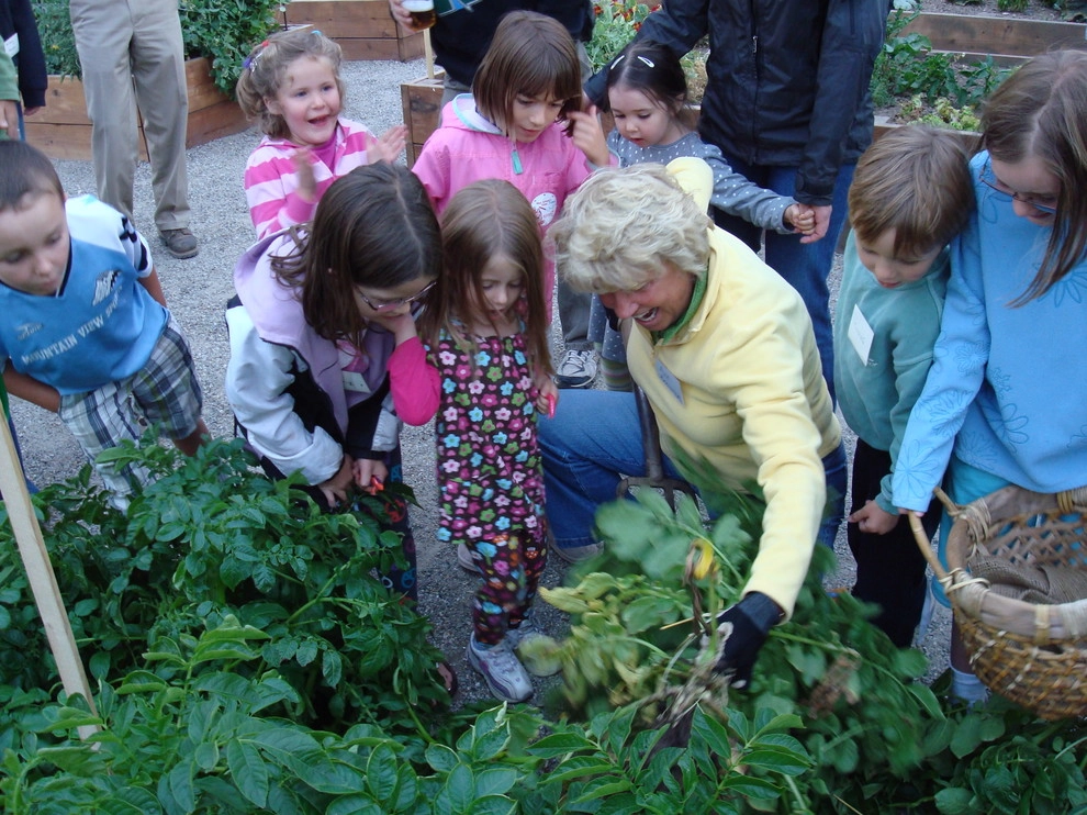 Silvana's Community Garden in Silverthorne, CO by Neils Lunceford, Inc. - Photo 5