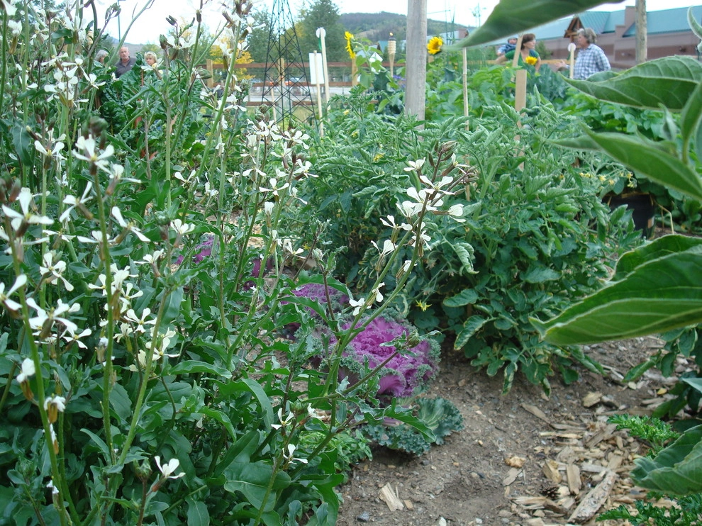Silvana's Community Garden in Silverthorne, CO by Neils Lunceford, Inc. - Photo 23