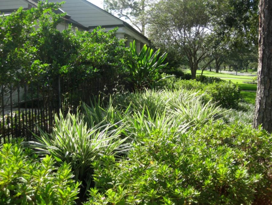 Bocage Boulevard 2 by Newton Landscape Group - Photo 3