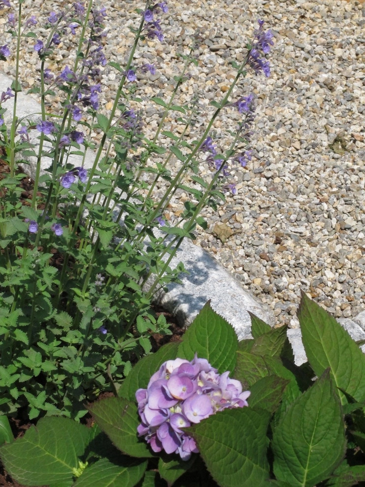 Wellesley Cottage Garden by Nilsen Landscape Design, LLC - Photo 4