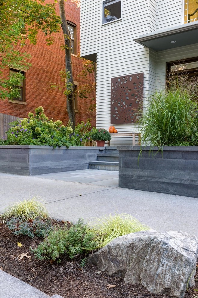Brookline Modern Front Yard by Nilsen Landscape Design, LLC - Photo 11