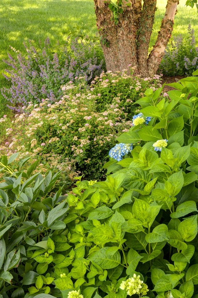 Westport Retreat by Nilsen Landscape Design, LLC - Photo 19