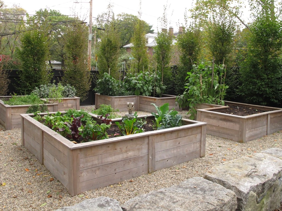 Cambridge Residence by Nilsen Landscape Design, LLC - Photo 19