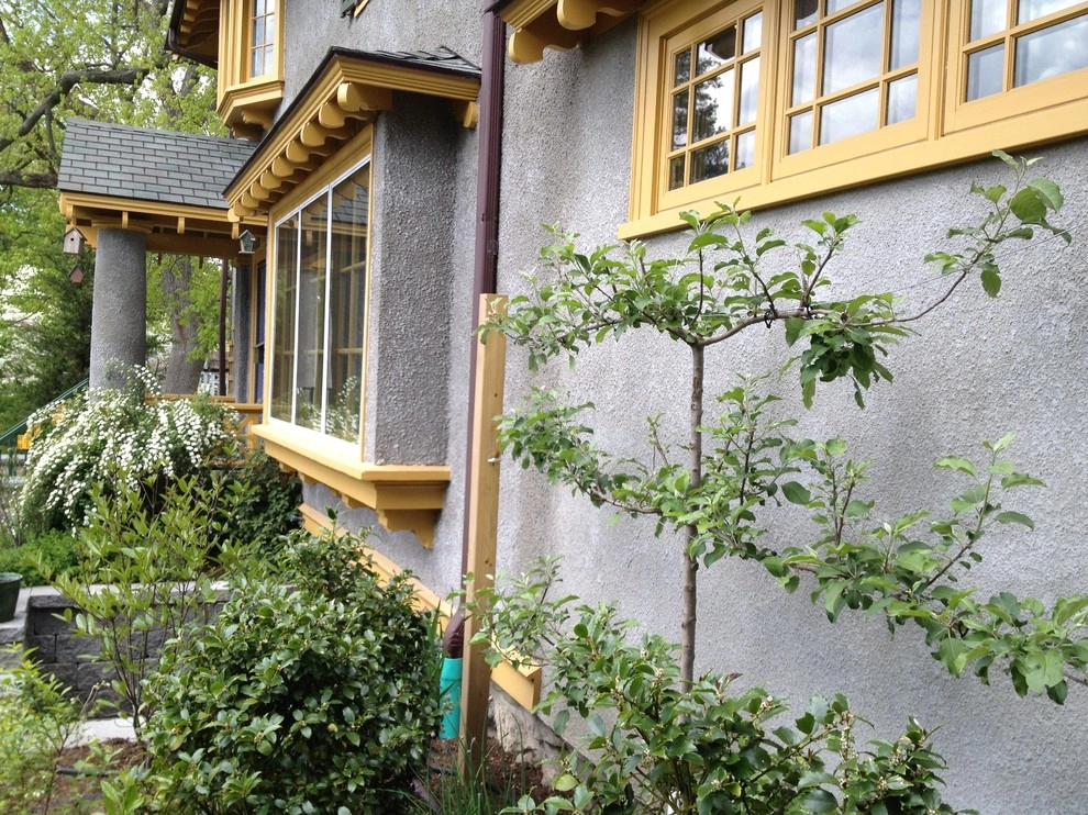 Belmont No Lawn Front Yard by Nilsen Landscape Design, LLC - Photo 6