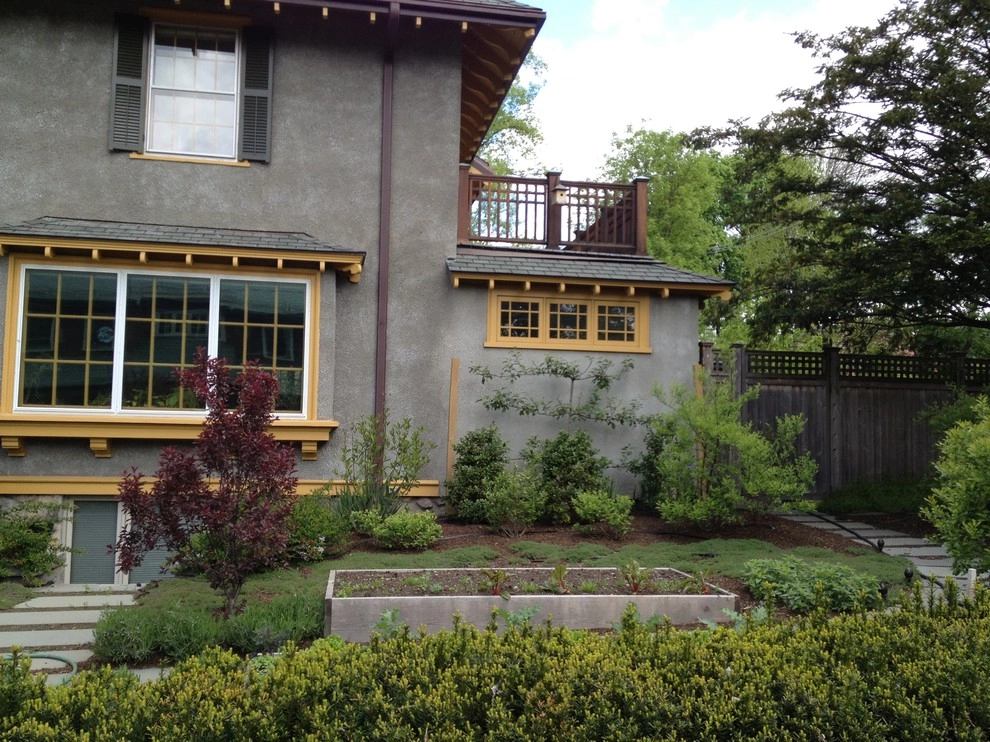 Belmont No Lawn Front Yard by Nilsen Landscape Design, LLC - Photo 2