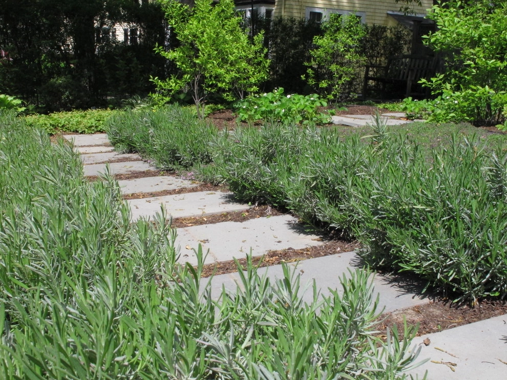 Belmont No Lawn Front Yard by Nilsen Landscape Design, LLC - Photo 3