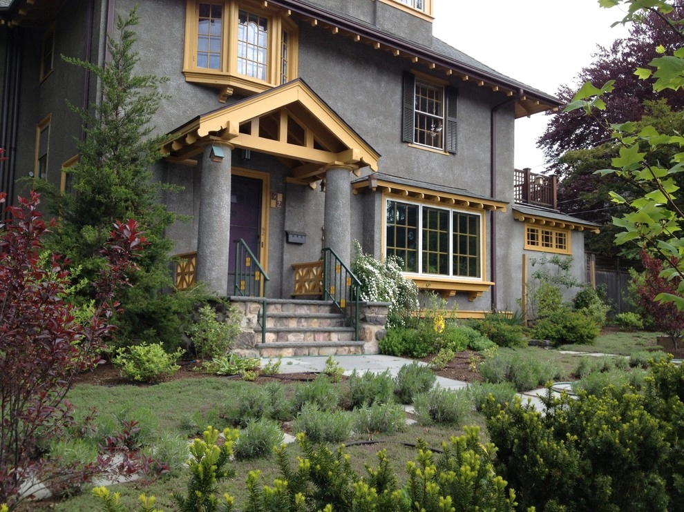 Belmont No Lawn Front Yard by Nilsen Landscape Design, LLC - Photo 5