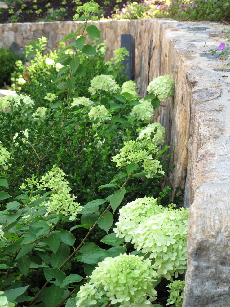 Lexington Master Plan by Nilsen Landscape Design, LLC - Photo 6
