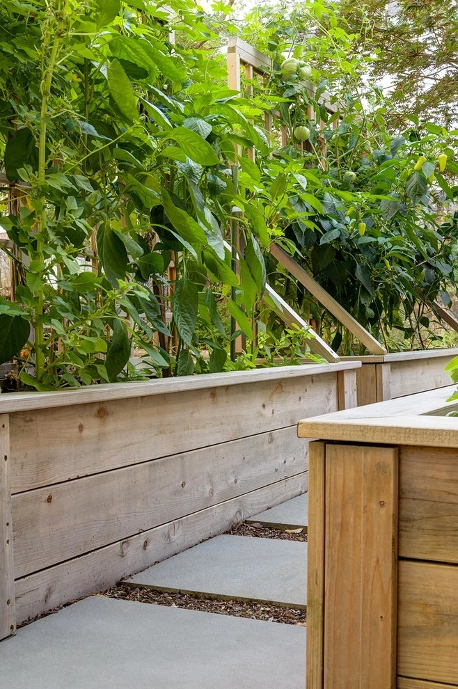 Brookline Modern Front Yard by Nilsen Landscape Design, LLC - Photo 23