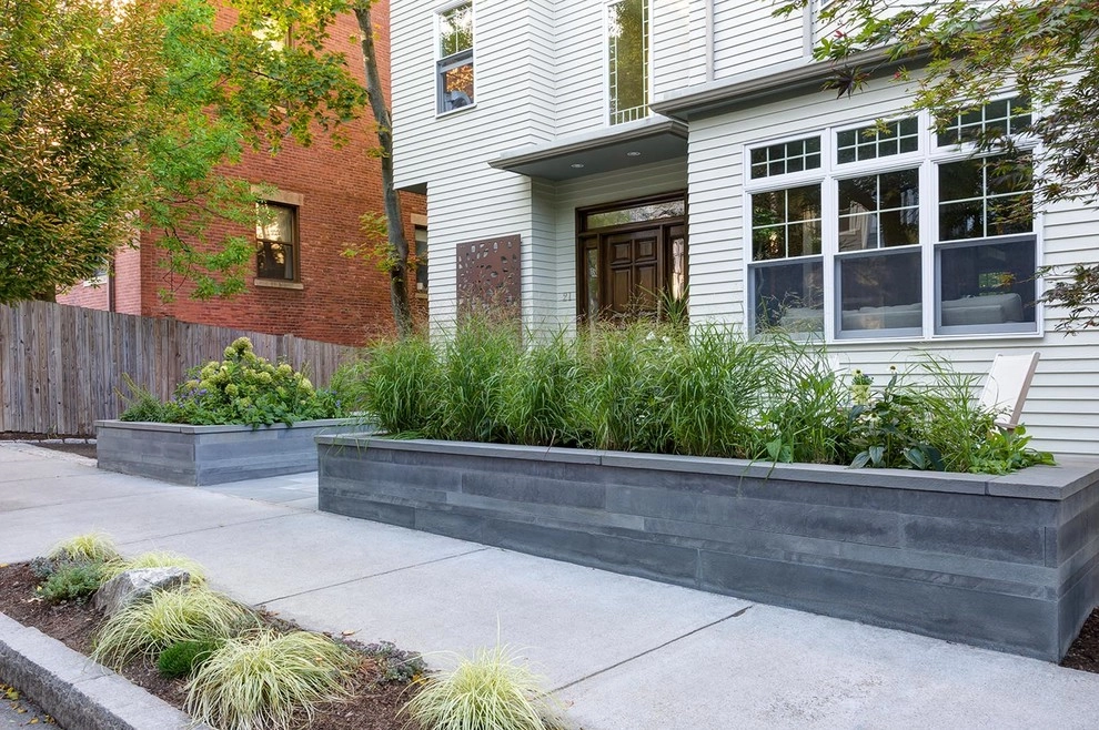 Brookline Modern Front Yard by Nilsen Landscape Design, LLC - Photo 19