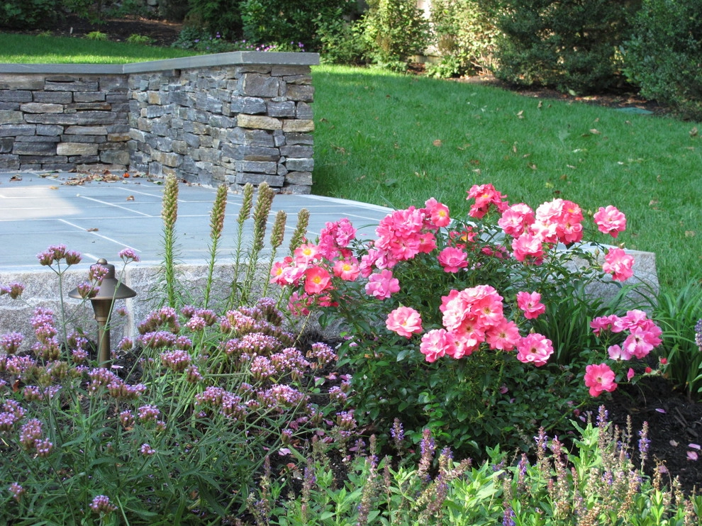 Belmont Terraced Backyard by Nilsen Landscape Design, LLC - Photo 13