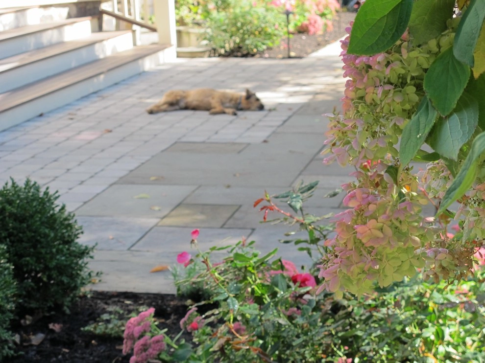 Cambridge Residence by Nilsen Landscape Design, LLC - Photo 11