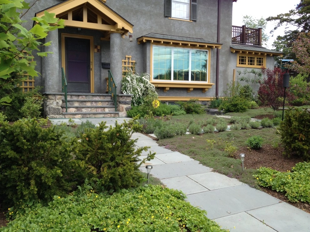 Belmont No Lawn Front Yard by Nilsen Landscape Design, LLC - Photo 4